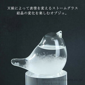 yzXg[OX VC{g Xg[OX e|hbv  IuWF VC\{g Ђ悱 Cۗ\ CeA