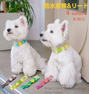 yz  [h ̎ h h  킢 ^ ^ ^Ή G蔲Q  [ht