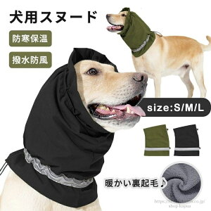 yz Xk[h Xq Jo[ J   ybgp lbNEH[}[ s̉K 킢 ^ ^ ^ y