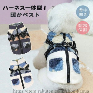 yz  R[g n[lX̌^  H~ ^ ^ xXg {A t[Xn h wJ DJt WPbg