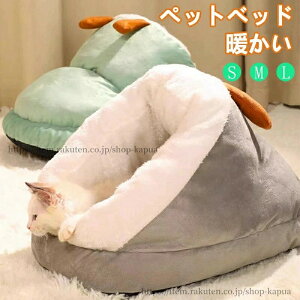 yzLpnEX  xbh ~ ybg NbV Lp R^c zc L̉ ybgpi 킢Xbp̌`