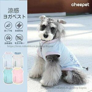 yzyh h tBA΍ ̕zgCv[h `  _bNX  hbOEFA 2024 t ybgEFA  