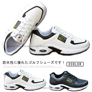 yzStV[Y Y h Xj[J[ XpCNXV[Y  y Stp V[Y jOV[Y