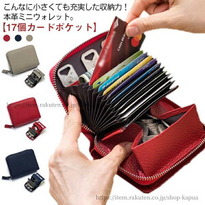 yzU[ {v O܂z  z z t@Xi[ ~jEHbg fB[X  3܂ J[h