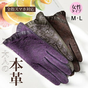 yz fB[X ėp {v U[O[u Oh~ UV  ] oCN ^] t  {v rWlX̓