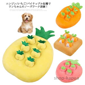 yzybg Pѕz  ^s H΍ s΍   ETM W͌ B jW ʂ pCibv koP