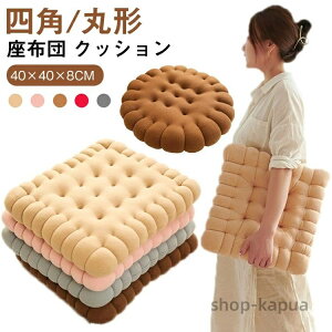 yzNbV NbV  zc 3D V[g ӂӂ CeA rXPbgNbV ֎qNbV 킢 5cm I[V[Y ֎qp