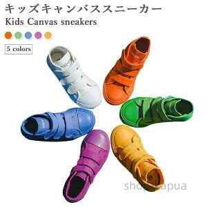 yzLoXXj[J[ LbY  tbg\[  t ̎q j̎q ₷ ₷ JWA Vv n tV