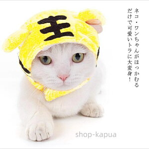 yzLp p Ԃ g   ԂX e giJC L̕ ^ hbO LbgEFA RXv ϐg CX^f RX`[ 킢 Ƃ NX}X x  N