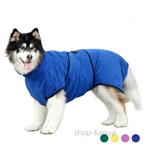 yzoX[u ybgpoX[u ^I EȒP ybgpoX[u C[u   z ybg[u hC[