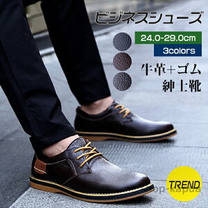 yzrWlXV[Y Y V[Y C  EH[LOV[Y  hV̓ ̓ JWA V[gu[c vC 傫TCY rWlX Ў amC Ǝ