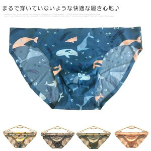 yzY u[t V[X   A_[EFA Ci[   {NT[pc u[tV[c [CY Ђ 