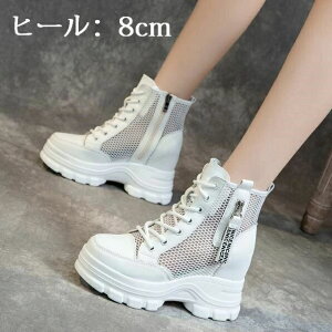 yzV[gu[c bVu[c T}[u[c fB[X C [XAbvV[Y 8cm Cq[ EGbW\[ tbgT_   ʋC ₷