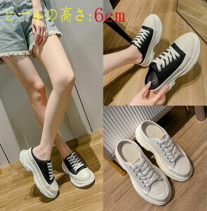 yzXj[J[  fB[X Xbp ~[ T_ [Jbg X|[cV[Y q[6cm Xbp Xb| LoX zC [XAbv ou[V r