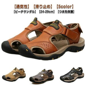 yzT_ Y X|[cT_ {v Xj[J[ T_ ܐی  AEghAT_ U[T_ Ol܂ r[`T_ y ₷