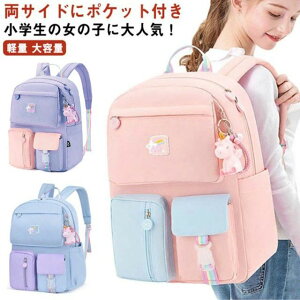 yzobNpbN XN[bN jR[`[t `[t w LbY ̎q y ʊw K[Y TChɃ|Pbgt Iׂ2TCY _ut@Xi[