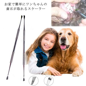 【送料無料】ペット用 デンタルケア 歯石取り 歯石取り 犬用 犬グッズ 両頭タイプ 歯石取り 歯垢対策 歯石除去用品 ハミガキ スケラー 猫用 トリミング用品 歯磨き 歯垢 家庭用