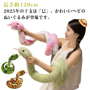 yzʂ l` ւ 120cm A  xʂ NbV wr   킢 N u 2025 ւ N N  _炩 CeA X