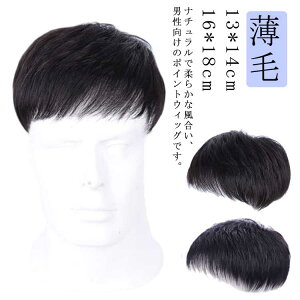 【送料無料】男性用 ブラック 父の日 ウィッグ メンズウィッグ トップカバー蒸し暑くない 脱毛 通気性 手植え 短い 薄毛 白髪隠し 男性用 ポイントウィッグ