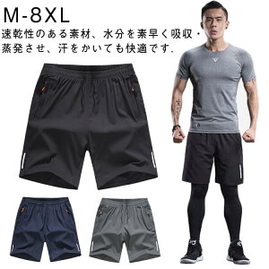 yzM-8XL ڐG⊴ Y V[gpc X|[c Zp WMO n[tpc  Y{ oXp  R AEghA jO M-8XL C[W[pc