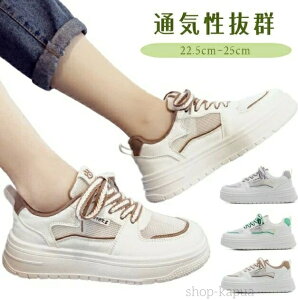 yzfB[X  L  Vv ̎q ؍ t@bV   x[W