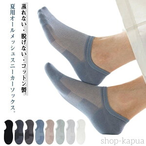 yzC Y  V[g 8Zbg   ėp ԂC Rbg Xj[J[\bNX  L  傫TCY