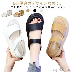 yz5mq[ fB[X t  Xj[J[ T_ X|[cT_  I[vgD r y ʋC Xgbv t Vv l