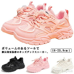 yzXj[J[ w ʊwC _bhXj[J[ ^C ΂Ȃ jOV[Y bV y [Jbg   r LbY