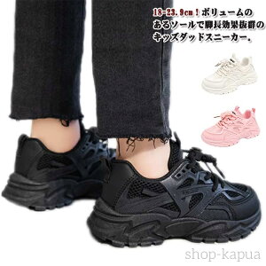 yzXj[J[ Xj[J[ ʊwC _bhXj[J[ Xj[J[   ^C ΂Ȃ jOV[Y bV [Jbg 