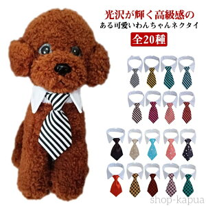 【送料無料】2サイズ展開 ボーダー ペット用 ネクタイ おしゃれ 全20種 首輪 犬用 ねこ 記念日 正装 写真撮影 アクセサリー 犬猫兼用 猫用 小型犬 中型犬 かわいい 子犬