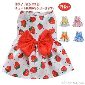 yz̕ t hbOEFA v[g  H Lp o s[X  m  ̎q ^ U   y hX CX^f