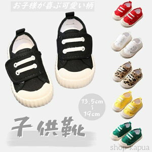 yzqC LoX Xj[J[ 6color xr[Xj[J[ t@[XgV[Y LbY xr[V[Y Ԃ q C ~ c j̎q ̎q ʊw