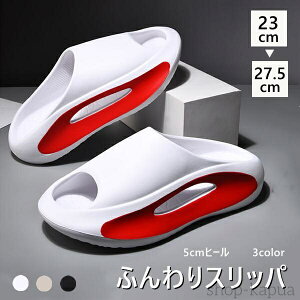 yzJo[T_ 3color ӂXbp  5cmq[ Xbp Y fB[X Xbp [V[Y T_ O T_ 