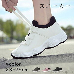 yzfB[X Xj[J[ ^C WMOV[Y X|[cV[Y jOV[Y tH s d ʊw ʋ Sn lC t@bV fB[X