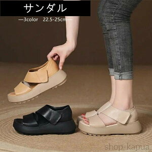 yzT_  3color X|[cT_ fB[X RtH[gT_  r[`T_ y C ₷ JWA r[` Xj[J[