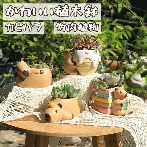 yzAؔ A O CeA 񂹐A u  v^[ Aj} 킢 Jso ̓ ~j   RPE ۃE  T{e