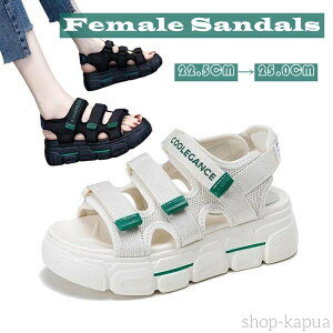 yzX|[cT_ T_ fB[X ₷ AEghA ₷ ɂȂ Xj[J[T_ _炩 h JWA ^C  