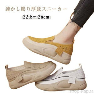 yz pvX  [t@[  JWAV[Y EhgD Xb| bV ʋC RȂ Xj[J[ [fBX Od lԍHw