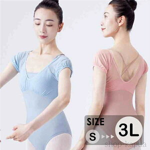 yzoG I^[h l LbY  XJ[gȂ Xgb`  sN   oG_X oGpi