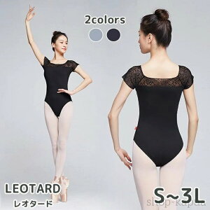 yzoG I^[h l fB[X WjA  [X K pbht 傫TCY Vv  킢 