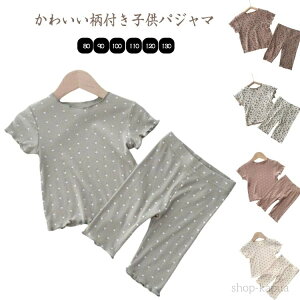 yzpW} LbY q xr[ ̎q pW}t tVc Opc  Y{ pW} hbg ԕ 킢 [EFA [EFA  