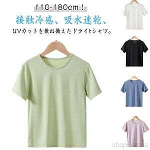 yzڐG⊴ q TVc ڐG⊴tVc LbY q WjA n j̎q ̎q TVc gbvX X|[c tVc TbJ[ ʋC q   ⊴ z w 