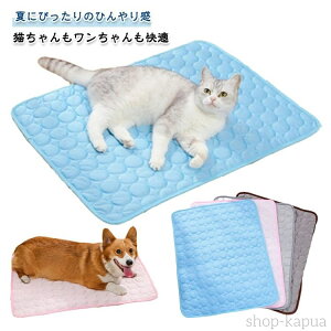 yzybgp N[}bg  L ėp ⊴}bg Ђ}bg ڐG⊴ ybgxbh ⊴~pbg }bg ă}bg ⊴V[c p Lp ybgpi ^ ʋC 