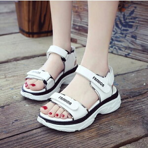 yzT_ K[Y jo[T fB[X ̎q V[YC  p X|[cT_ r[`T_ AEghA q[  ubN  zCg x[W 22.5-25cm