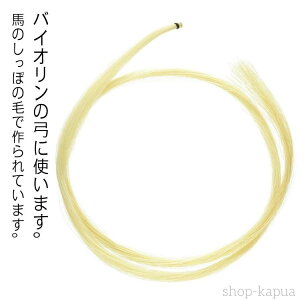 yznѐ | oCI| ւ n yANZT  oCI |̖ёւp 悢F oCI| `F rI C ёւ oCI 2s[XZbg