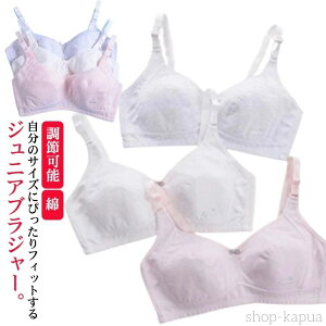 yzq  w Z WjA Ci[ mC[ uW[ LbY K[Y w u ӂJbv zbN Xgbv߉\  { ̎q  XN