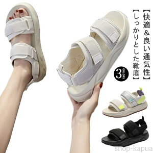 yzr X|[cT_ fB[X ItBX  ~ RtH[g T_ Vv ₷ V[Y y C Xj[J[T_ JWA Xgbv