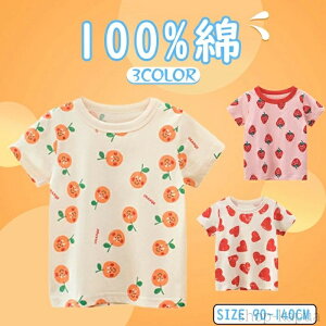 yzLbY Vc TVc 100%  ̎q q [EFA  ʉ TVc JWA WjA tăR[f g[i[ ʊw c w ݂  C