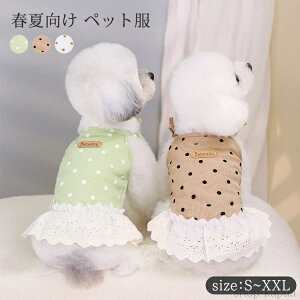 yz t [EGA    ybg hbOEGA LbgEGA ^ ^ Jo[I[ p[X EȒP