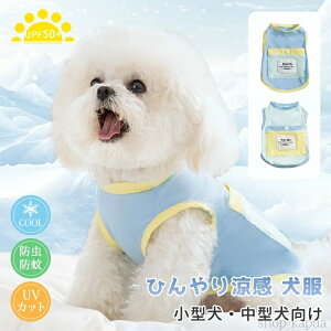 yz^ ^Ngbv    Ђ ʋC K   N[EGA ΍ 悯 _炩 bV xXg